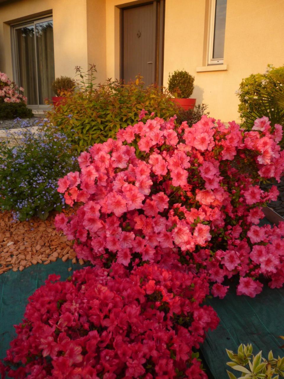 Betton Chez Bernard Et Nicole B&B 외부 사진
